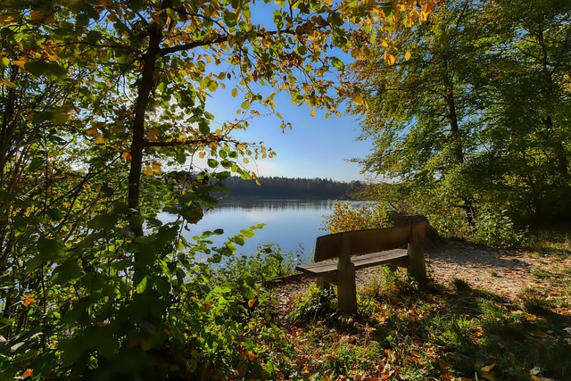 开云体育-德尔皮耶罗亚洲独家品牌形象大使